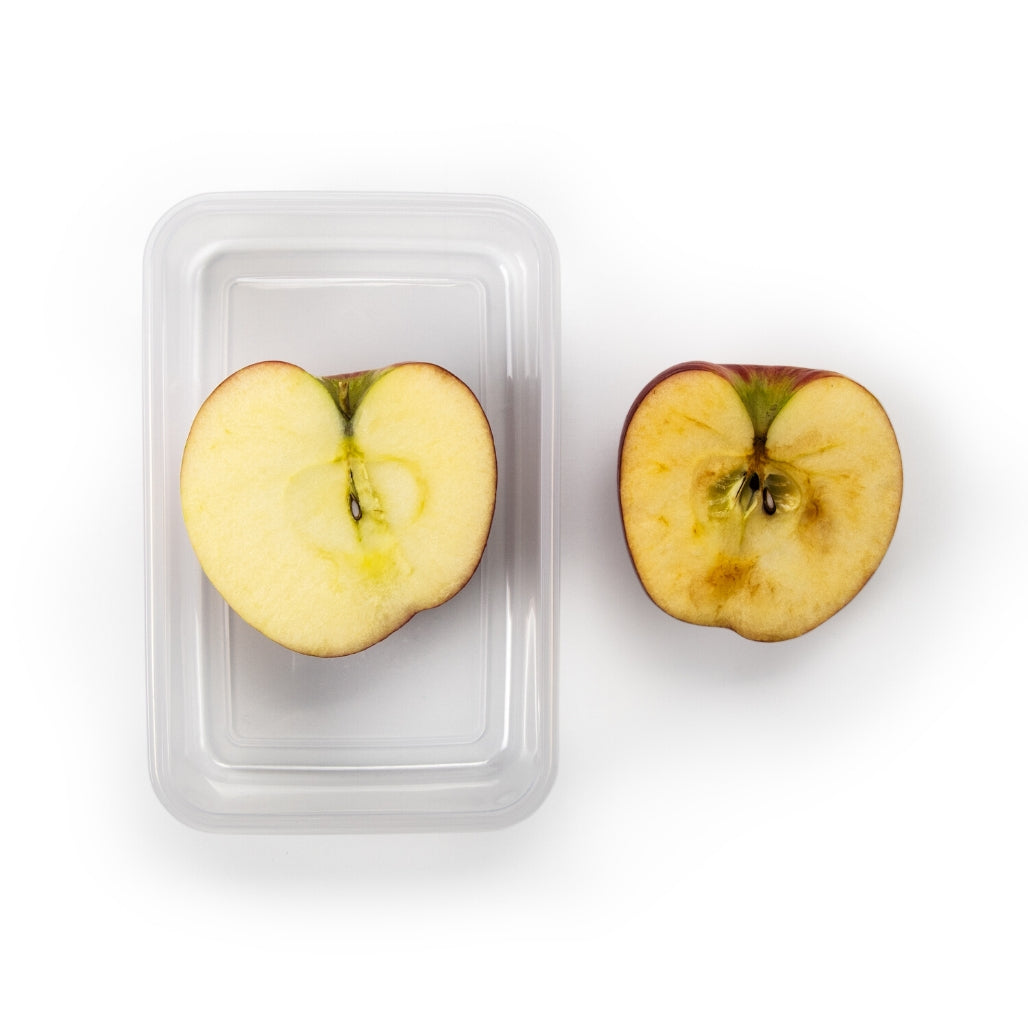 Six Pack of Portion Control Containers